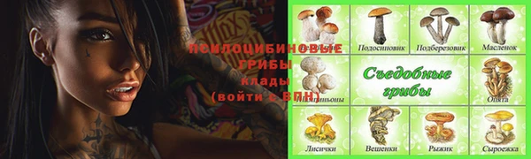 мескалин Магадан